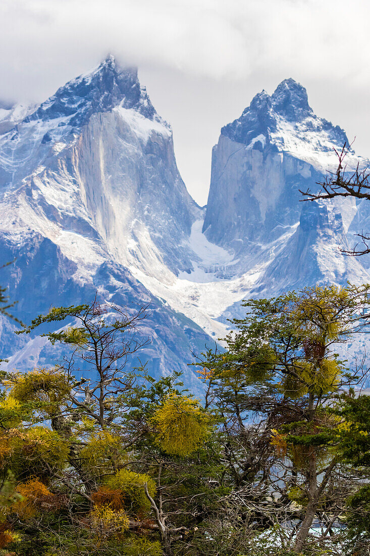 Chile, Patagonien. Die Hörnerberge