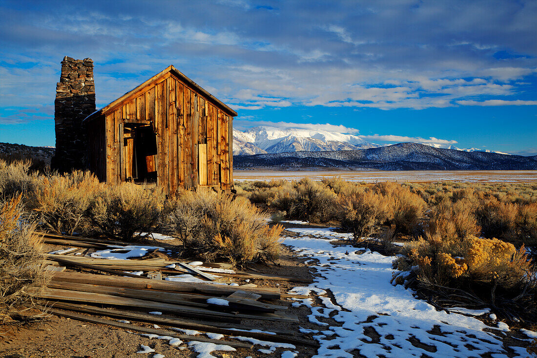 USA, California. Ruins of cowboy's cabin in Adobe Valley