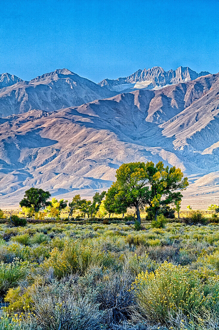 USA, Bischof, Kalifornien. Östliche Sierra-Region, Owens Valley