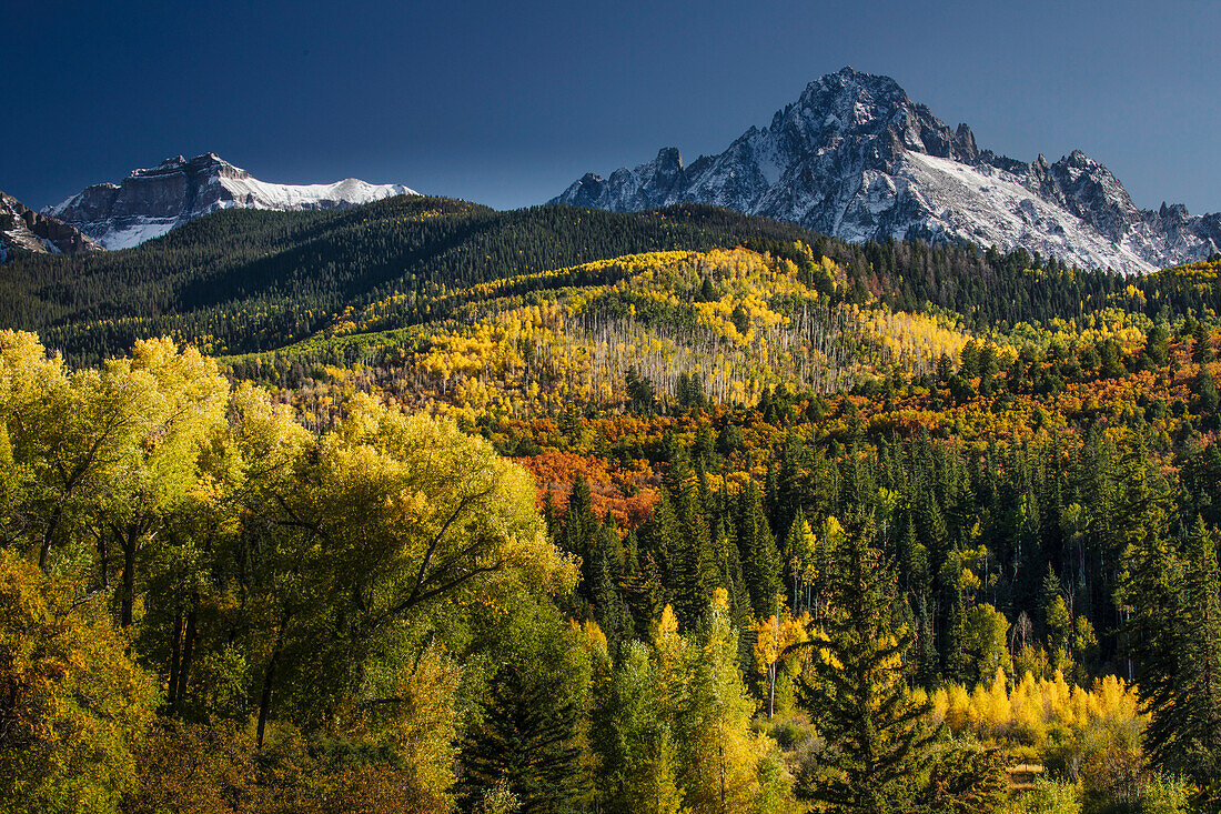 Autumn aspen trees and Sneffels Range, Mount Sneffels Wilderness, Uncompahgre National Forest, Colorado