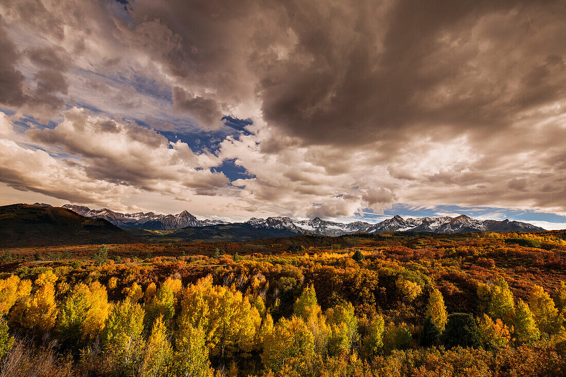 Autumn aspen trees and Sneffels Range, Mount Sneffels Wilderness, Uncompahgre National Forest, Colorado