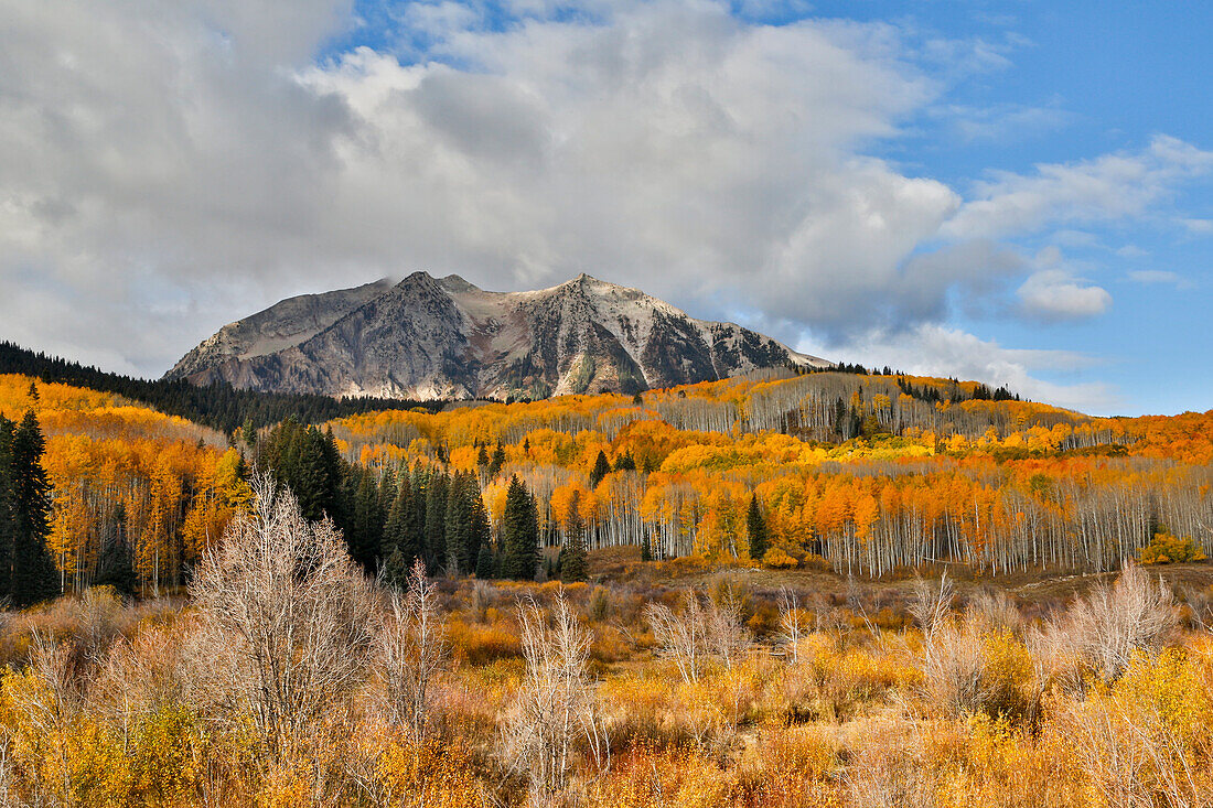 Rocky Mountains, Colorado. Fall Colors of Aspens, Keebler Pass, with mountain looming above