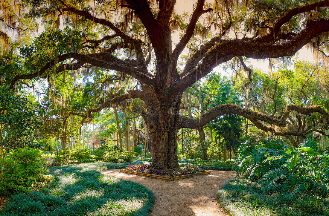 Florida Botanischer Garten, Washington Oaks State Park