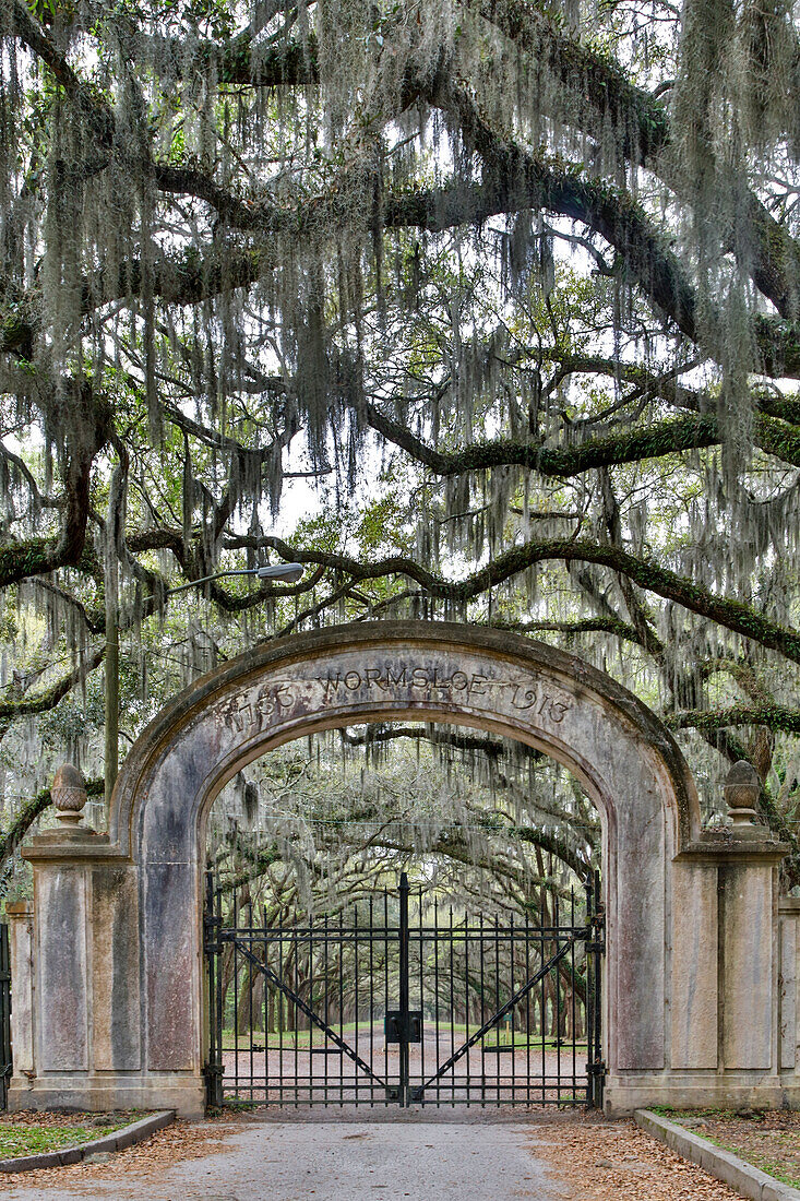 USA, Georgia, Savannah. Wormsloe, gate at entrance