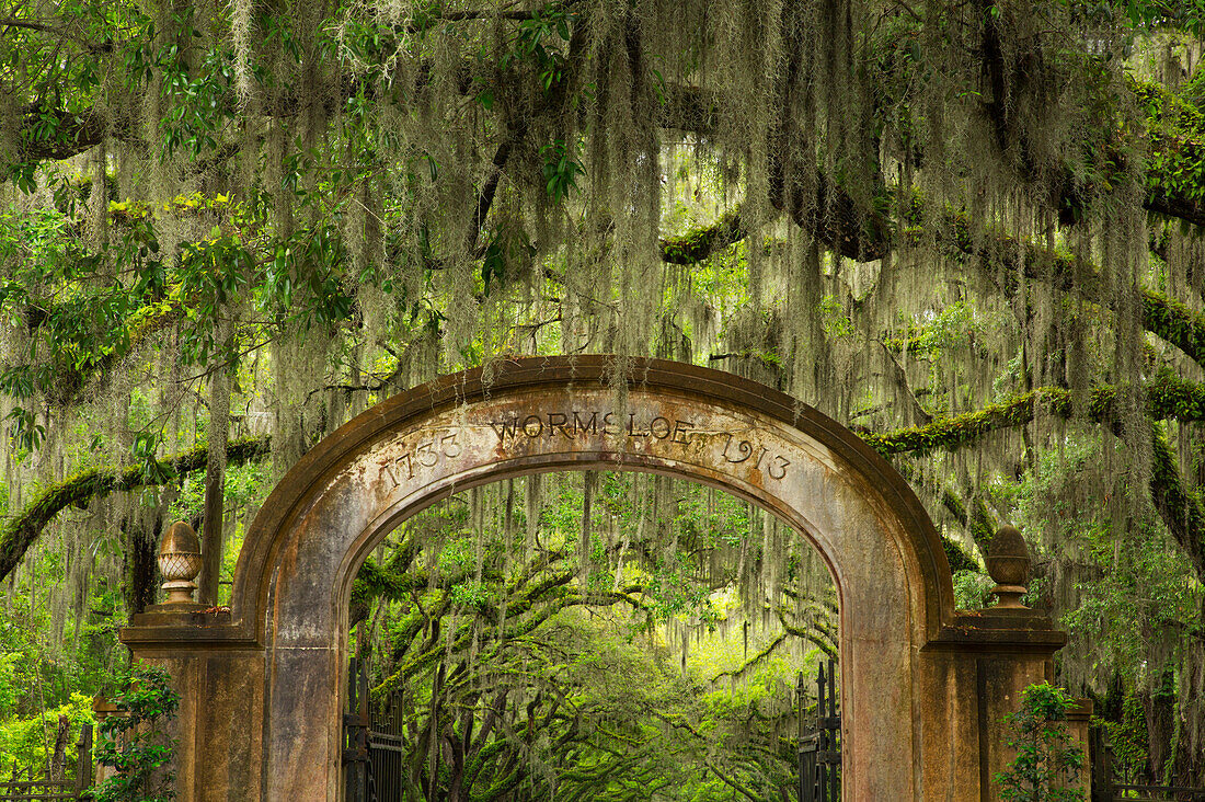 USA, Georgia, Savannah. Entrance to Historic Wormsloe Plantation.