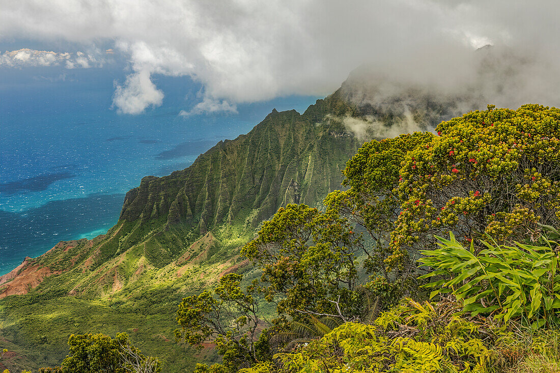 Küste von Napali, Kauai, Hawaii-Inseln,