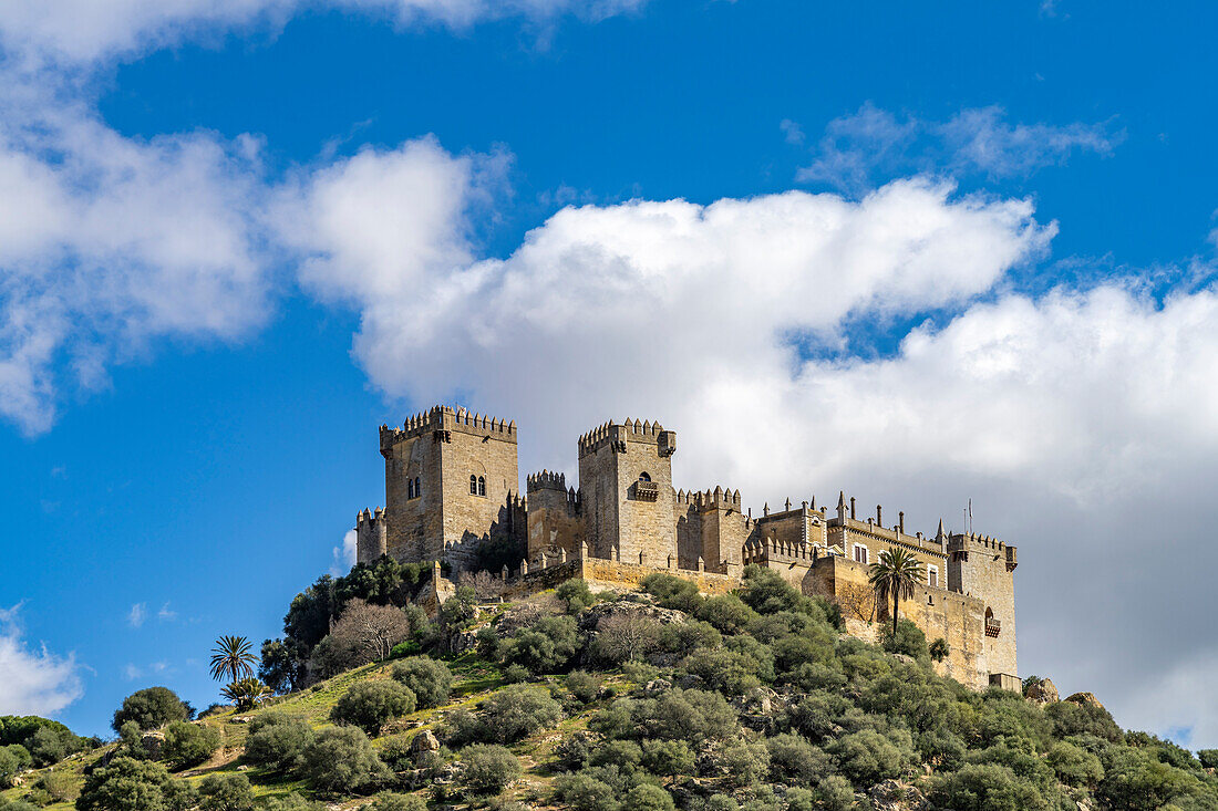 Die Burg Castillo de Almodóvar del Río, Andalusien, Spanien  