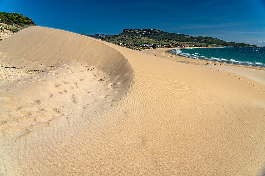 Der Strand und die Düne von Bolonia, Tarifa, Costa de la Luz, Andalusien, Spanien  