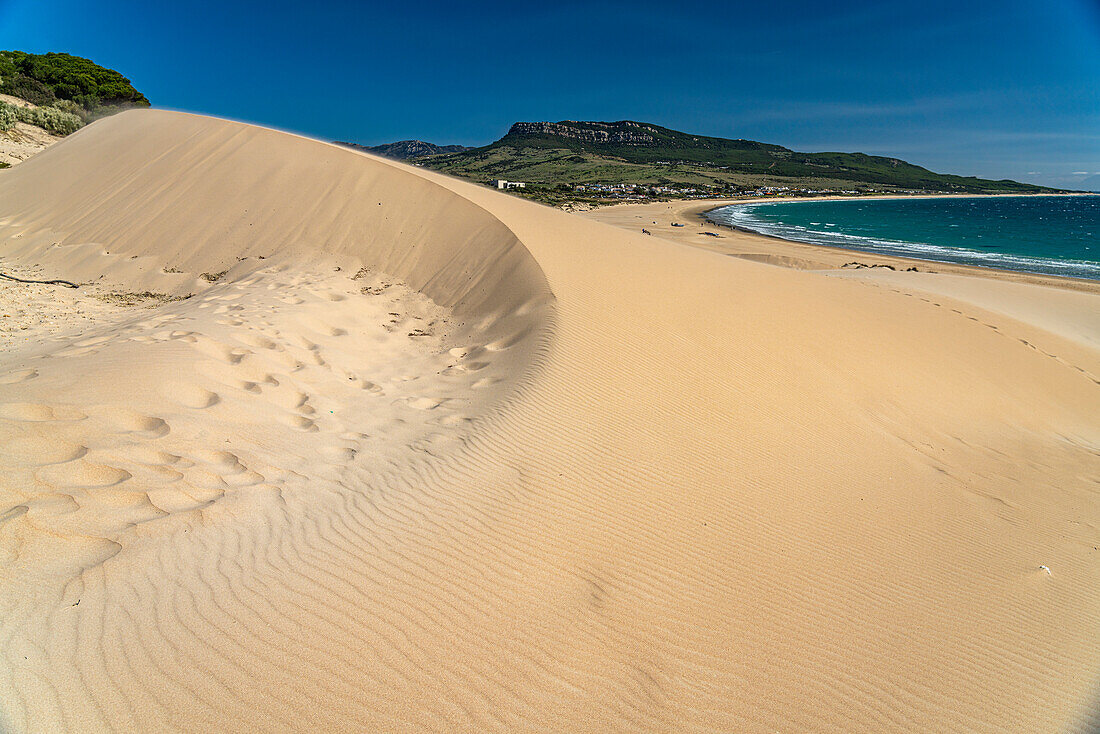 The beach and dunes of Bolonia, Tarifa, Costa de la Luz, Andalusia, Spain