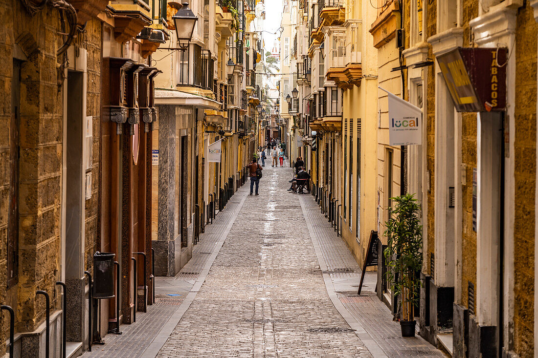 Gasse in der Altstadt von Cádiz, Andalusien, Spanien  