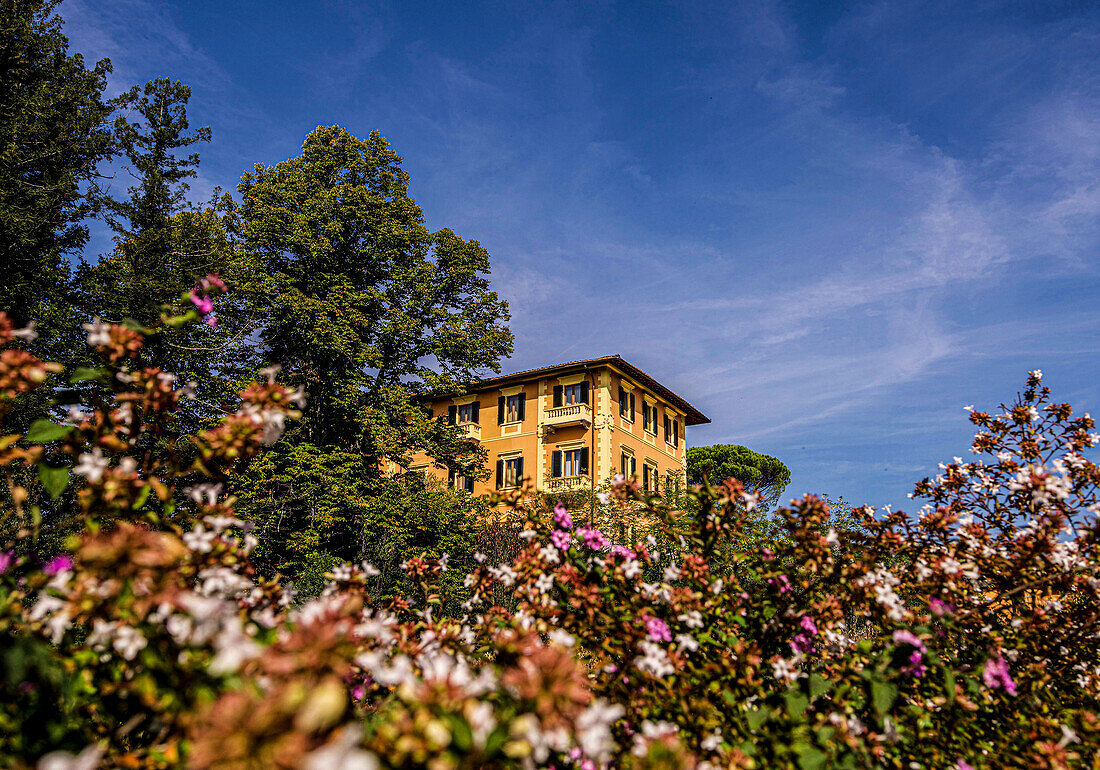 Toskanisches Haus, Blumenschmuck in einem Park, Montecatini Terme, Toskana, Italien