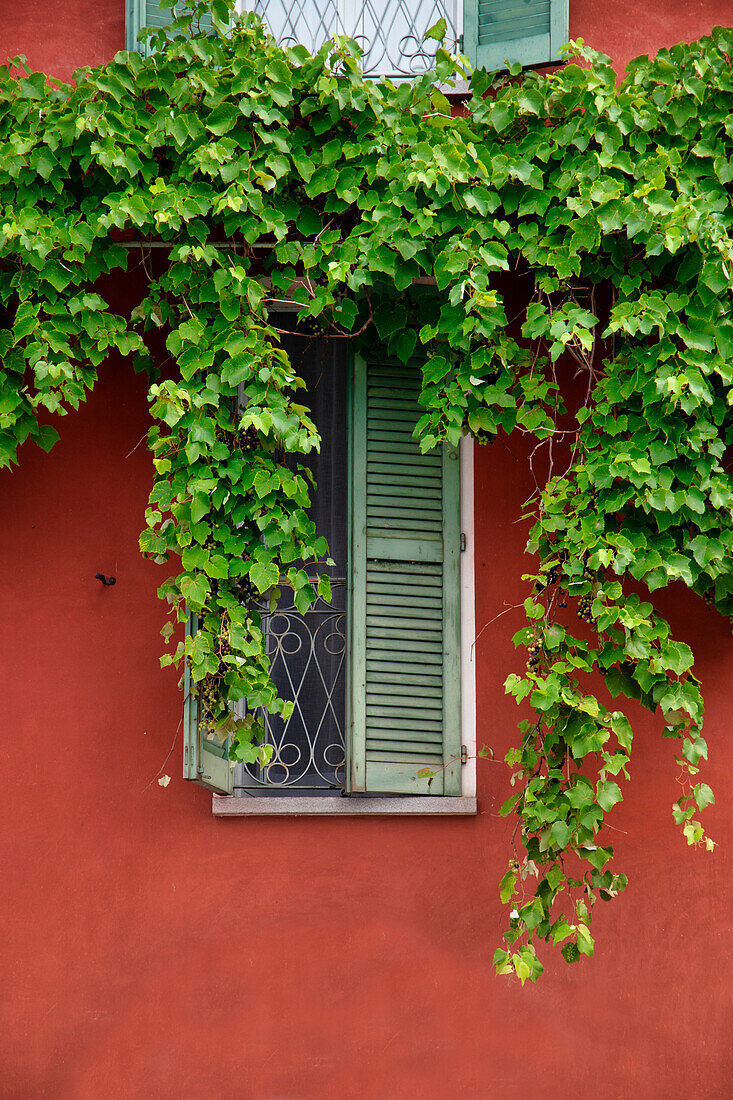 Red house with ivy,Varenna, Como Lake, Lombardy, Italy