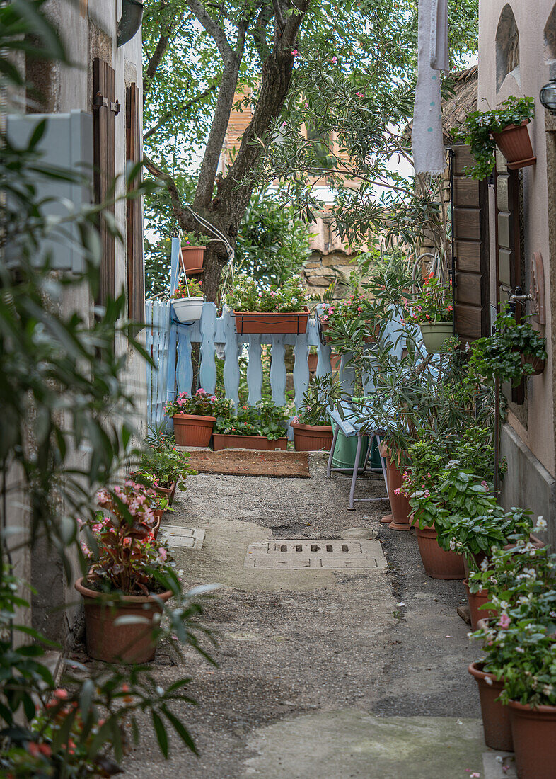In the alleys of Muggia, Friuli Venezia Giulia, Italy.