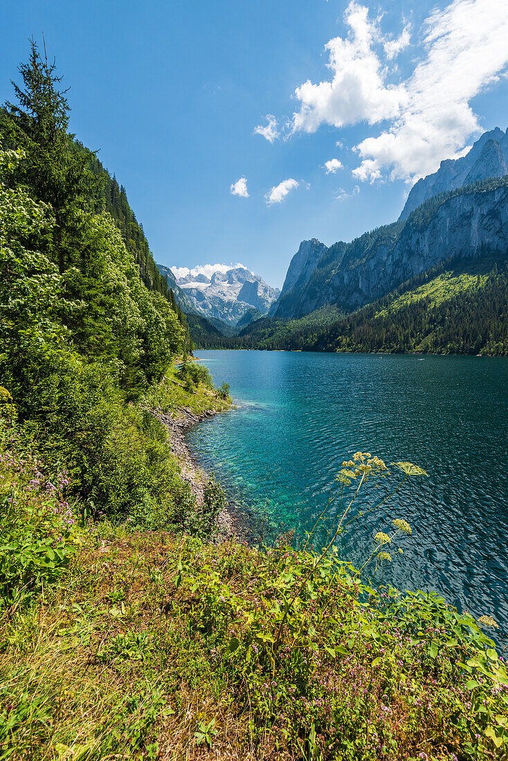 Vorderer Gosausee and Dachstein massif in Salzkammergut, Upper Austria, Austria