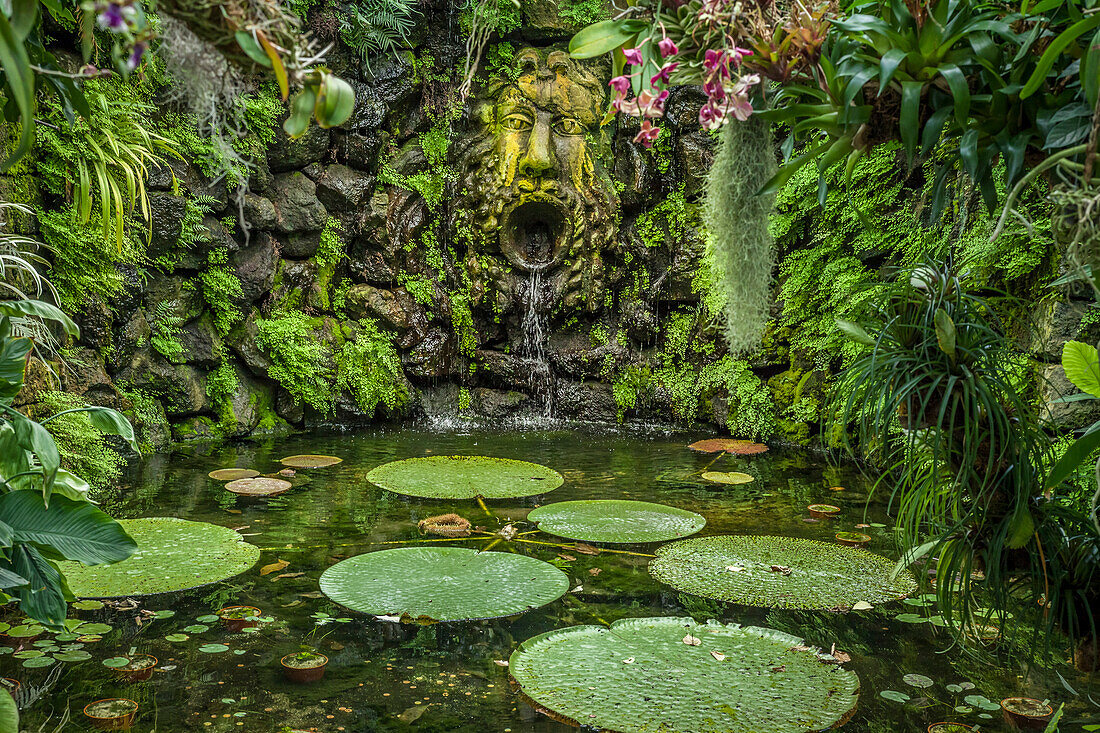 Fountain in the Orchid Grotto in La Mortella Garden in Forio, Ischia Island, Gulf of Naples, Campania, Italy