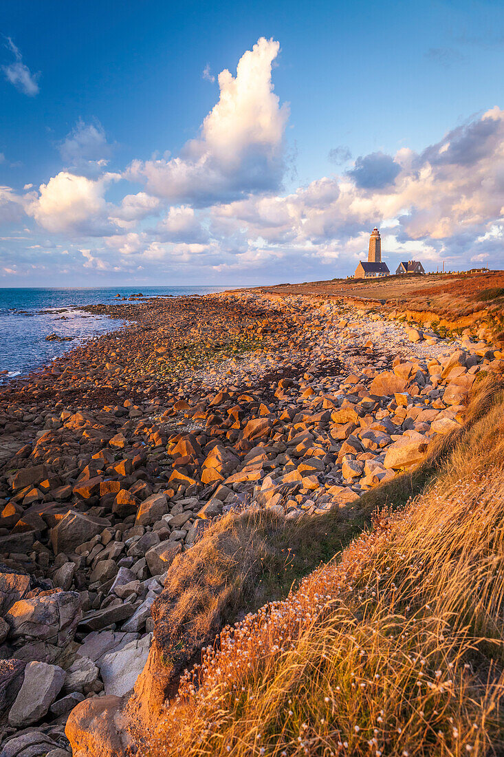 Küstenweg am Phare du Cap Lévi bei Fermanville, Cotentin-Halbinsel, Manche, Normandie, Frankreich