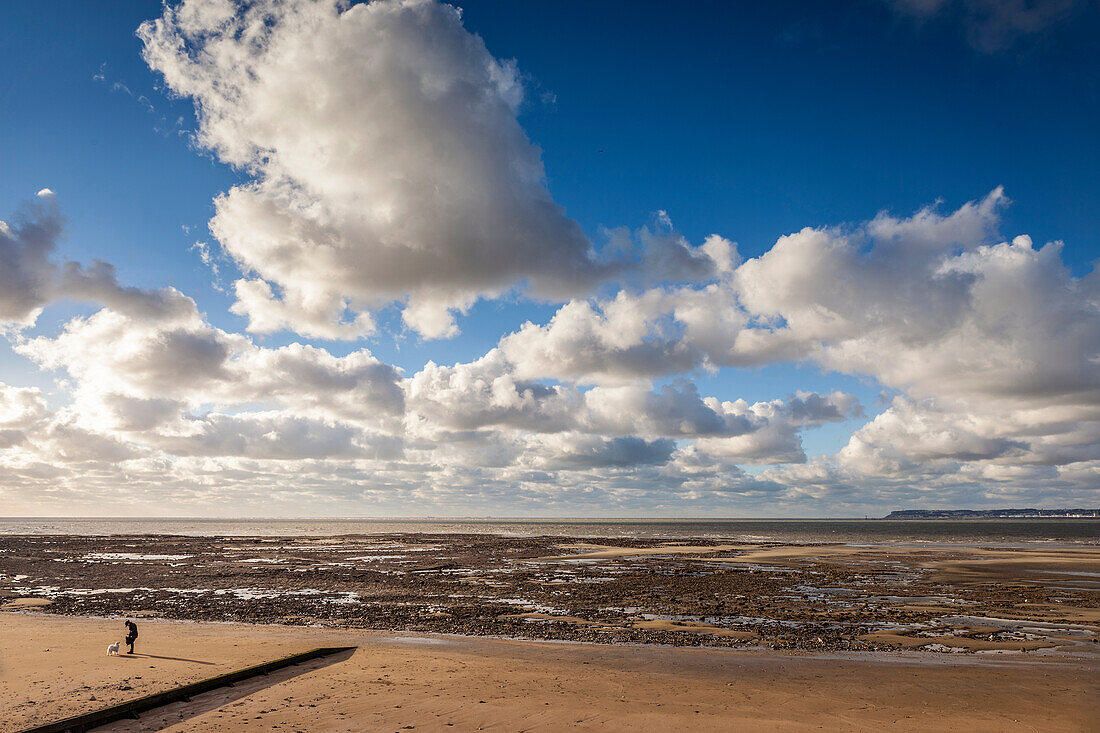 Mud flats at Plage de Honfleur in the evening light, Calvados, Normandy, France