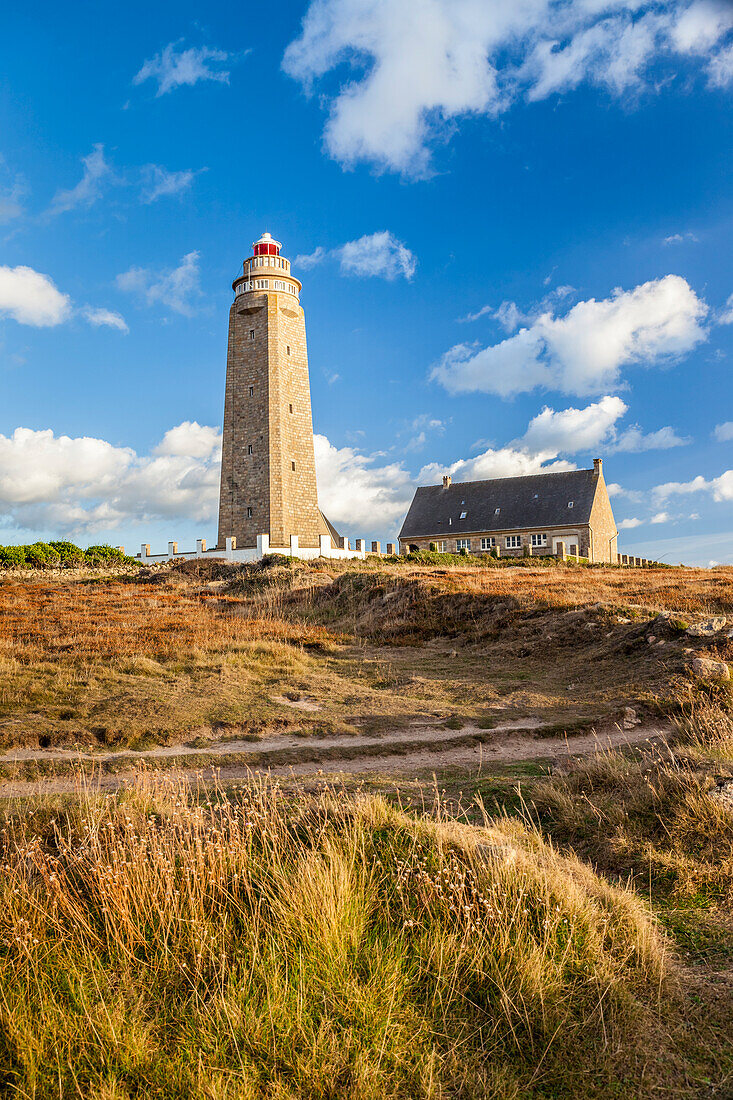 Küstenweg am Phare du Cap Lévi bei Fermanville, Manche, Cotentin-Halbinsel, Normandie, Frankreich