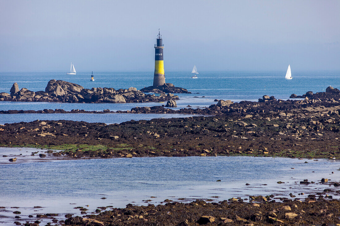 Lighthouse in front of Roscoff with sailing boats, Finistère, Brittany, France