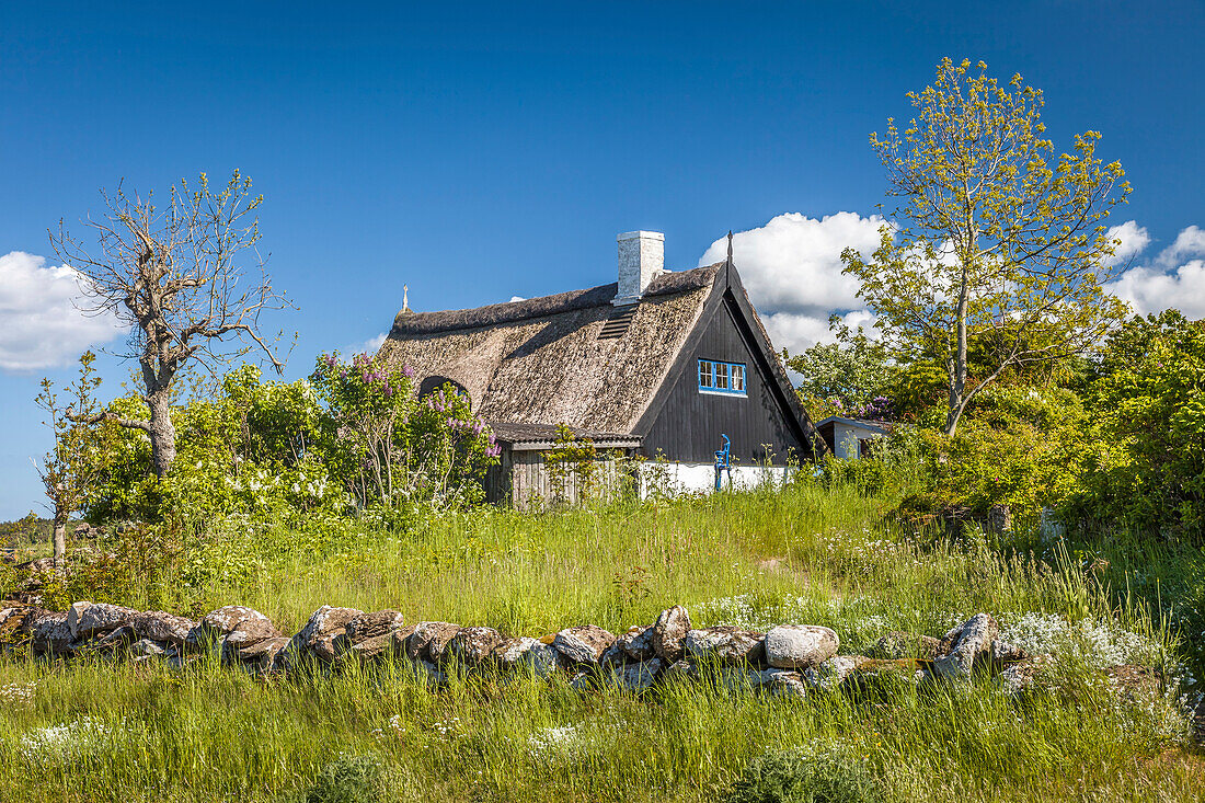 Reetdachhaus an der Küste bei Listed, Bornholm, Dänemark