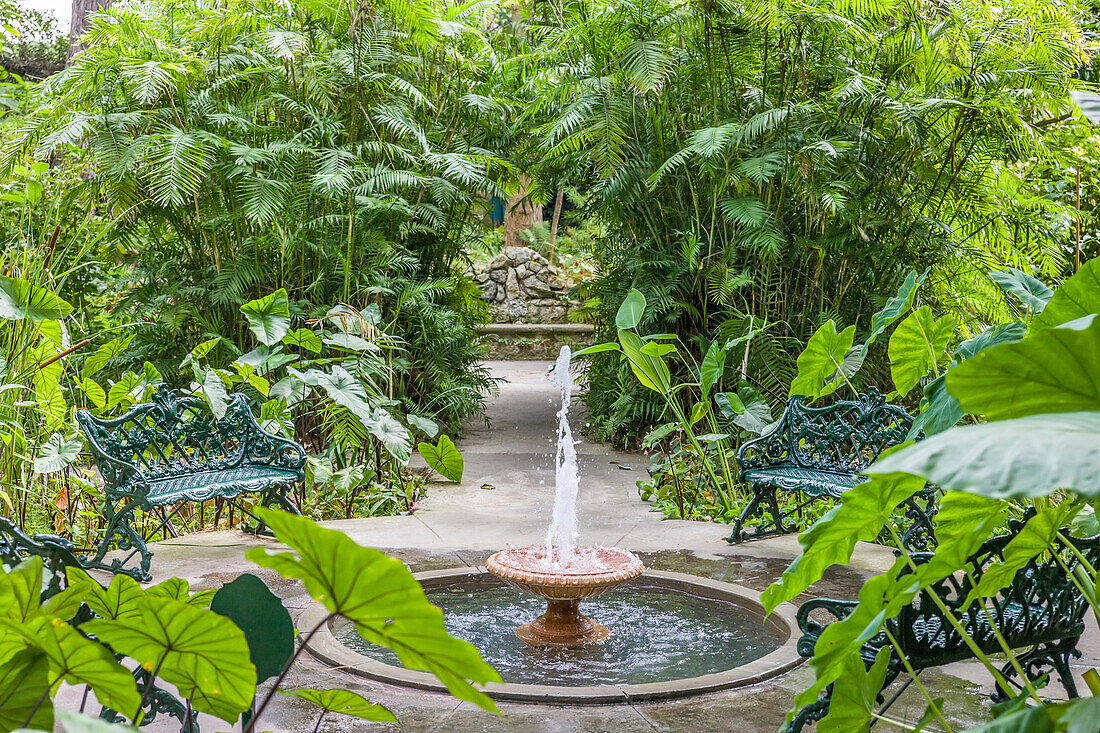 Fountain in La Mortella Garden in Forio, Ischia Island, Gulf of Naples, Campania, Italy