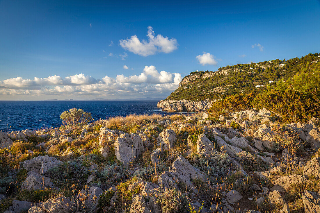 Küste beim Fortino di Mesola, Capri, Golf von Neapel, Kampanien, Italien