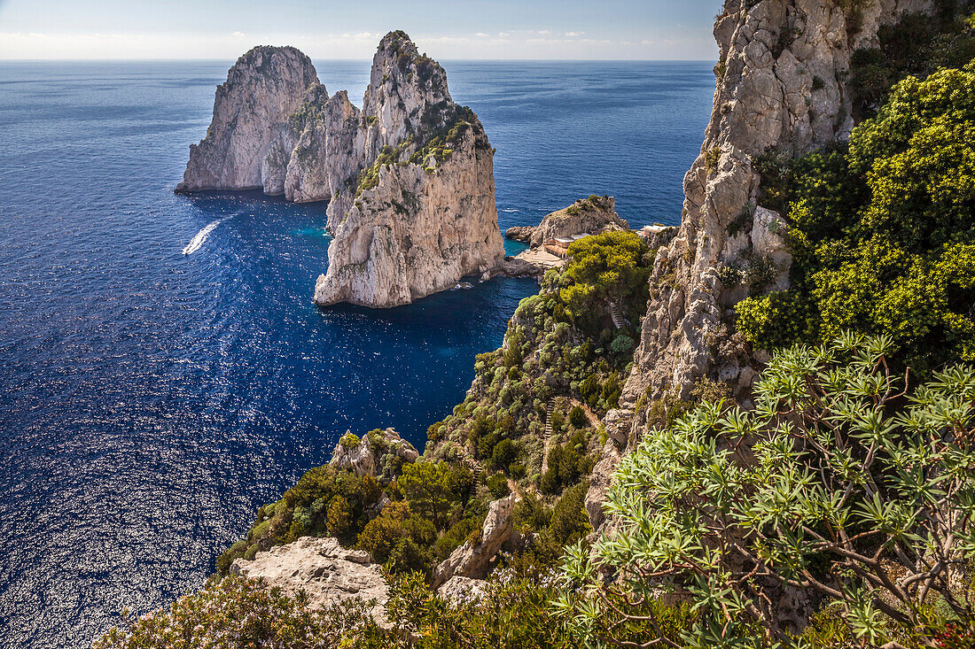 Faraglione-Felsen bei Capri, Capri, Golf von Neapel, Kampanien, Italien
