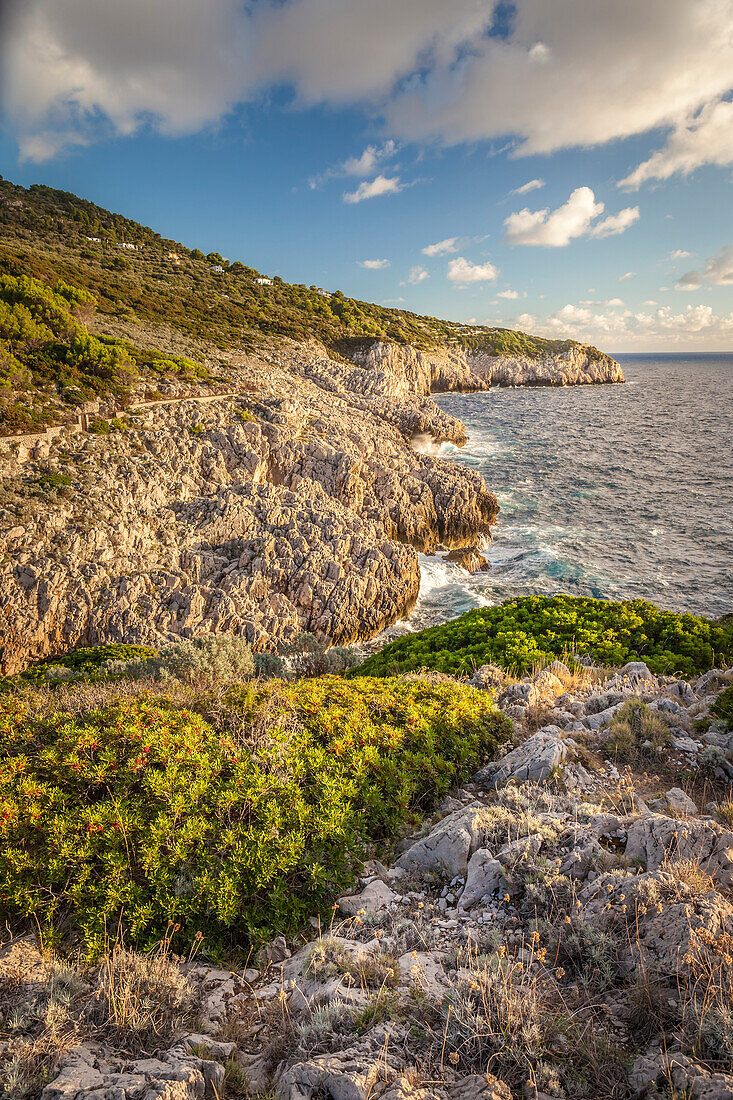 Coast at Fortino di Mesola in Anacapri, Capri, Gulf of Naples, Campania, Italy