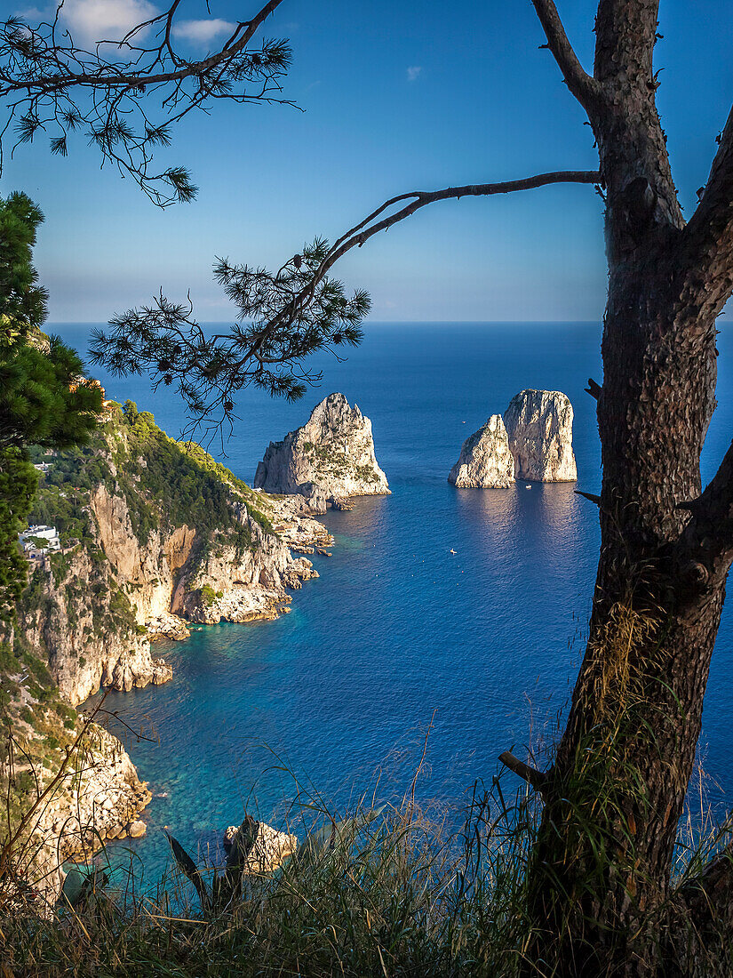 Blick zu den Faraglione-Felsen auf Capri, Insel Capri, Golf von Neapel, Kampanien, Italien