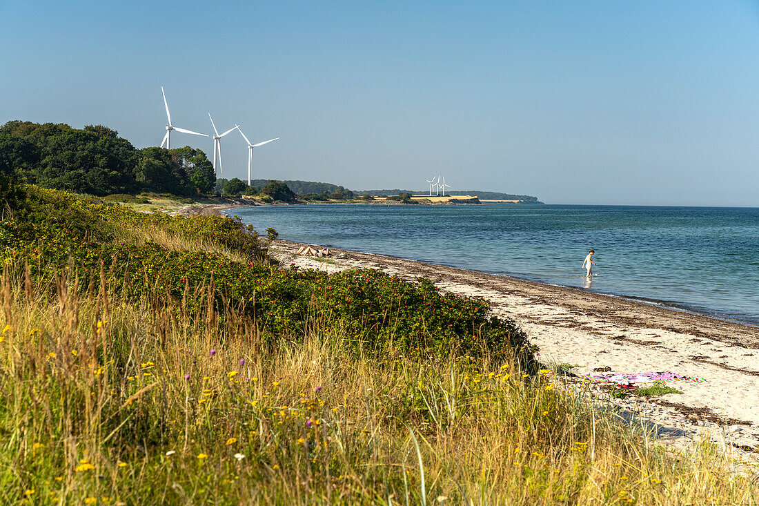 Sandy beach at Botofte, Langeland island, Denmark, Europe