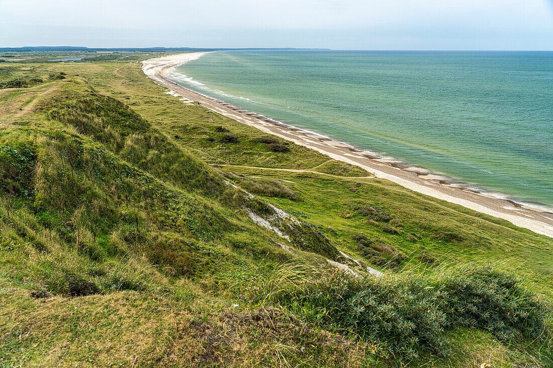 The Grönne Strand and Svinklovene Dunes … – License image – 71424252 ❘  lookphotos