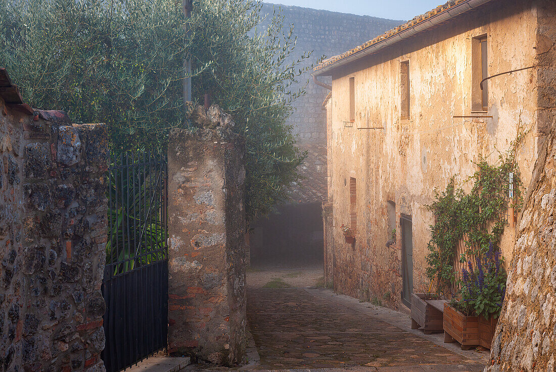 Alley in Monteriggioni in the morning fog, Province of Siena, Tuscany, Italy, Europe