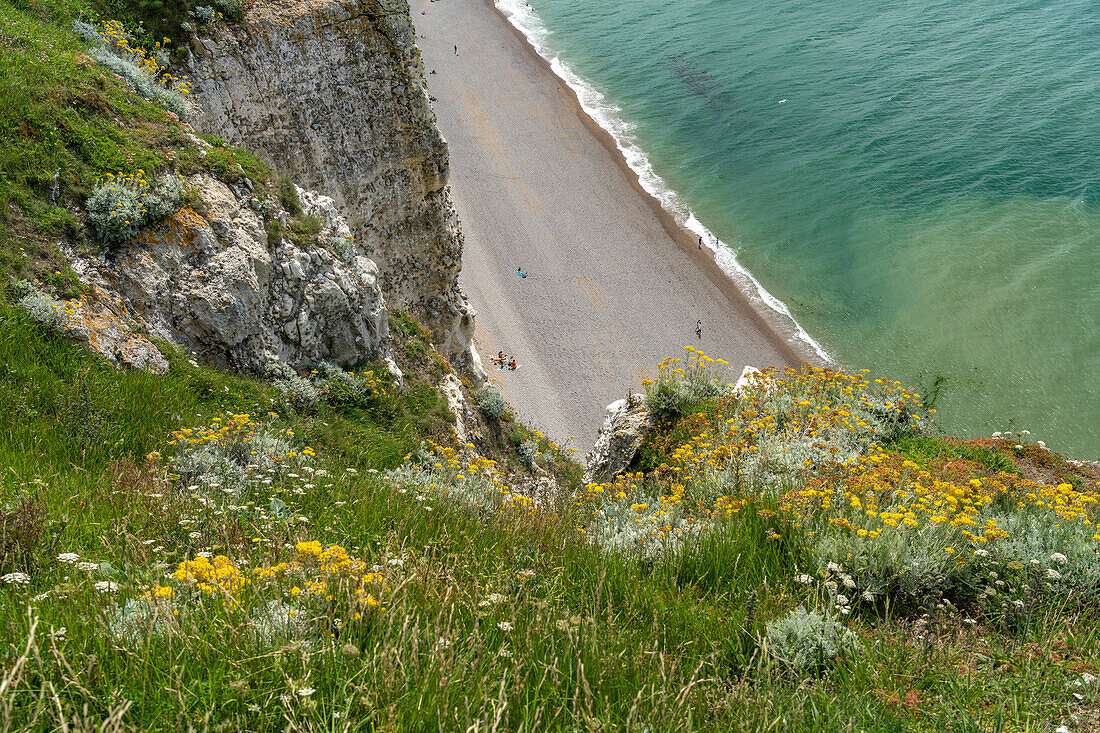 Rocky cliffs and chalk cliffs of Etretat, Normandy, France