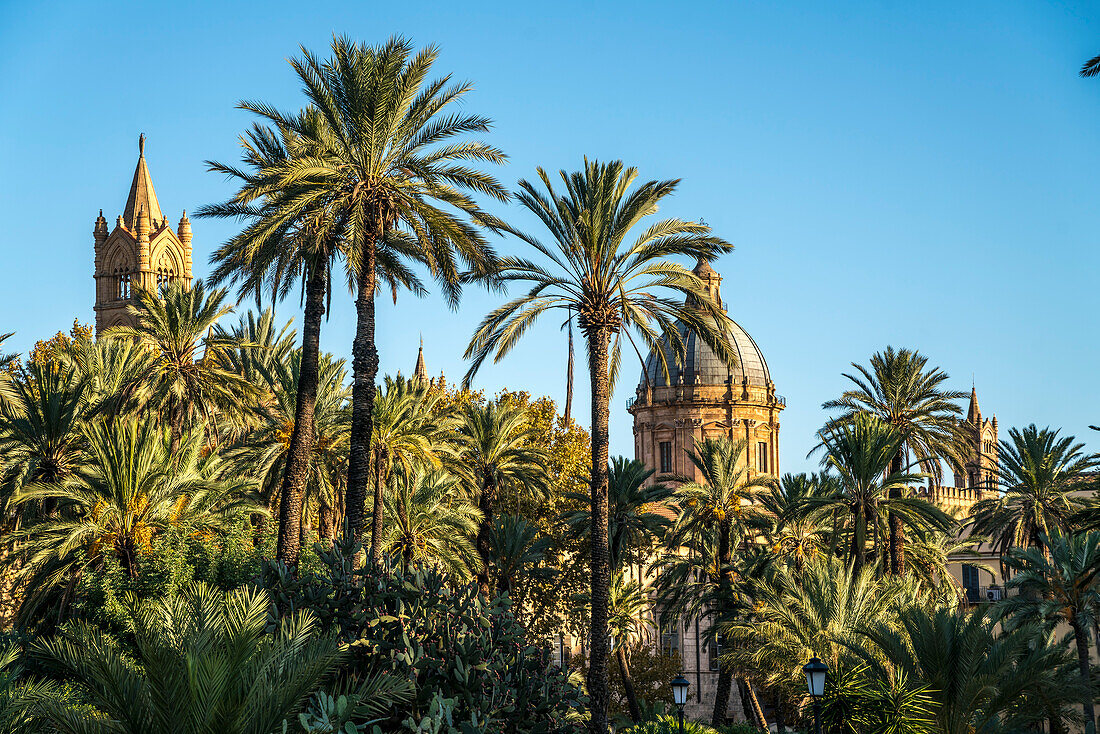 Palm trees in Villa Park and the spiers of the Cathedral of Maria Santissima Assunta, Palermo, Sicily, Italy, Europe