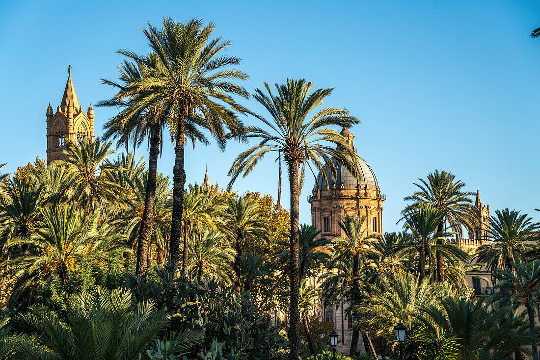 Palmen im Park Villa und die Türme der Kathedrale Maria Santissima Assunta,  , Sizilien, Italien, Europa
