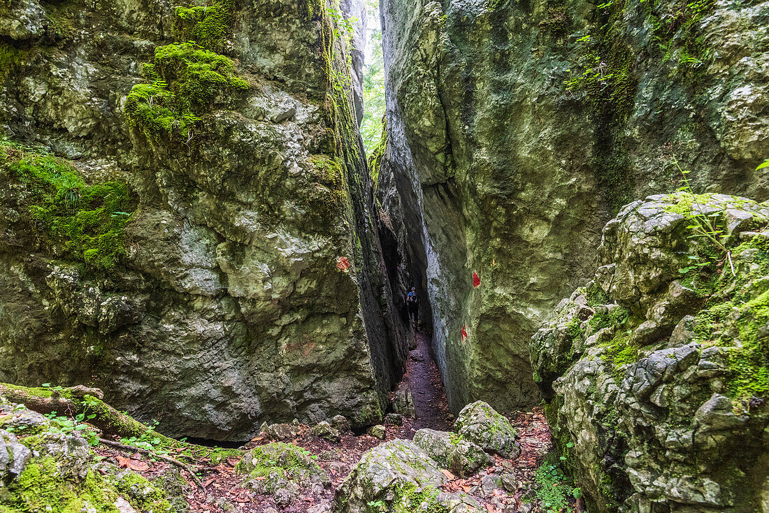 Stone chasms in St. Gilgen am Wolfgangsee, Salzkammergut, Salzburg, Austria