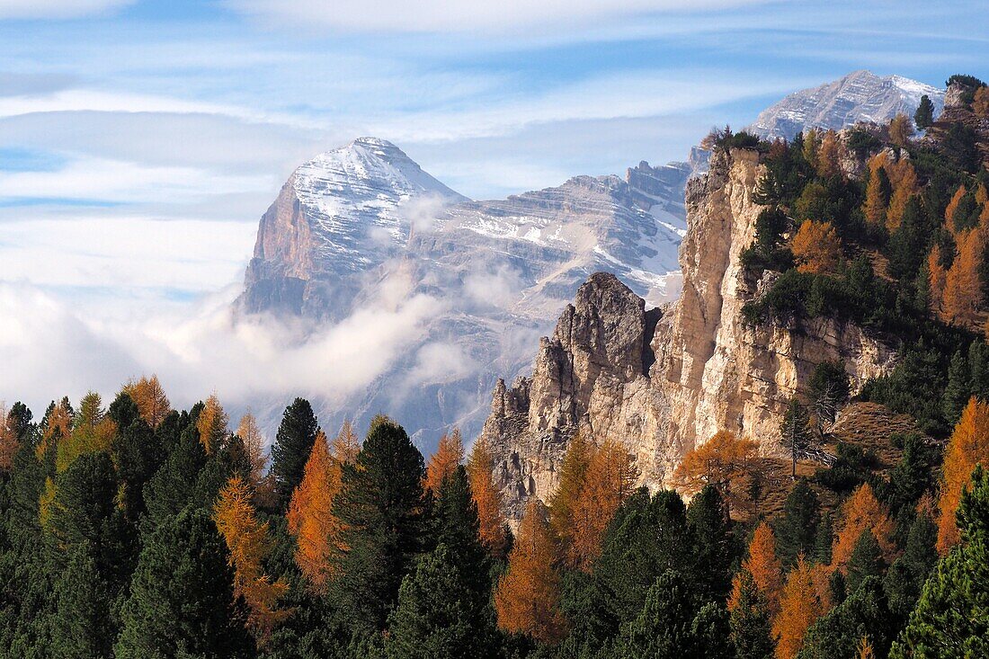 Blick über Cortina d'Ampezzo mit Tofana, Dolomiten Belluno, Veneto, Italien