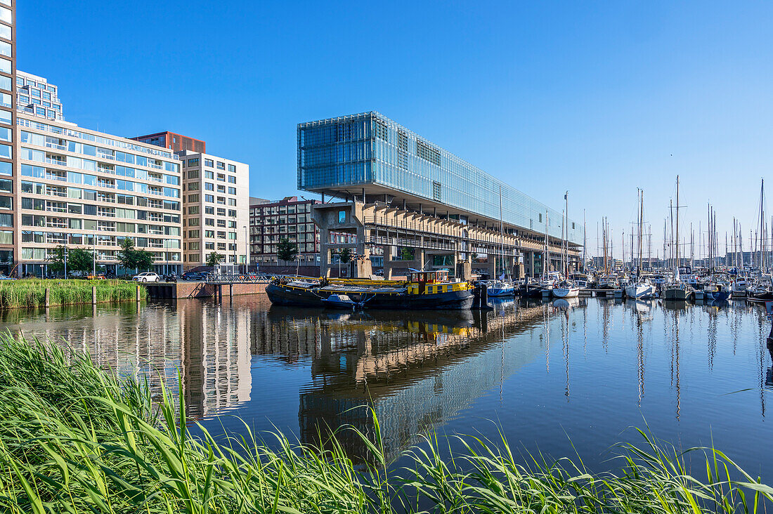 NDSM shipyard, IJ, Het Kraanspoor, office building, Amsterdam, Benelux, Benelux, North Holland, Noord-Holland, Netherlands