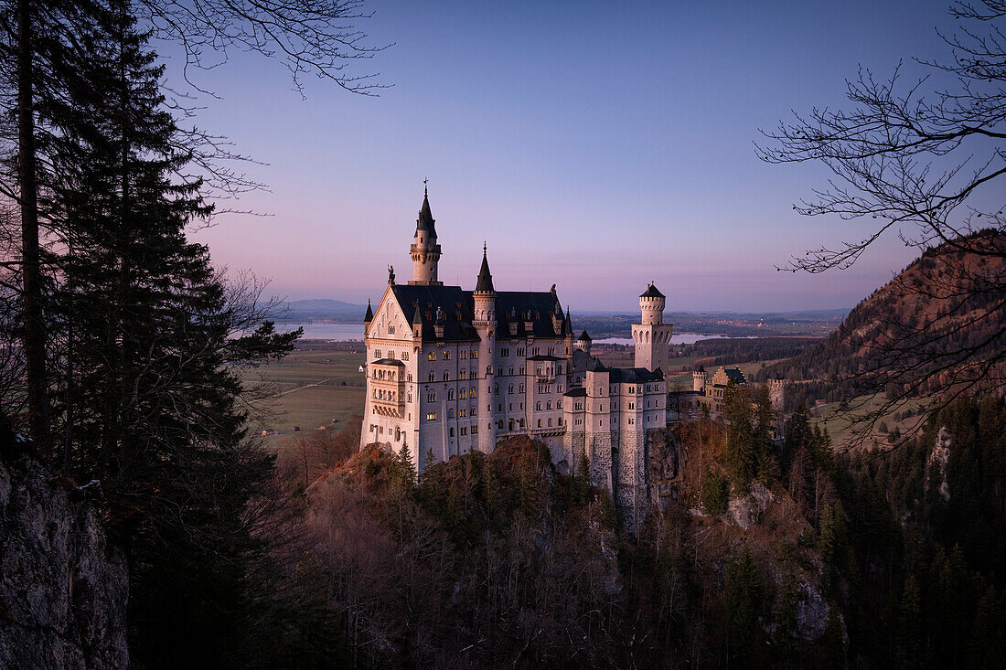 Blick auf Schloss Neuschwanstein im Herbst bei Sonnenuntergang, Allgäuer Alpen, Allgäu, Bayern, Deutschland, Europa