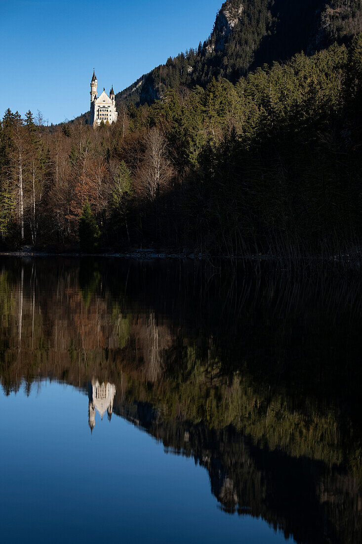 View of Neuschwanstein Castle at Alpsee, Allgaeu, Bavaria, Germany, Europe