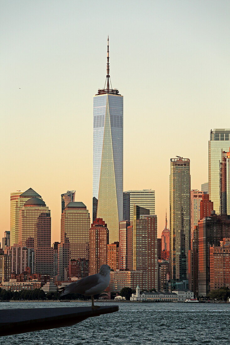 Downtown Manhattan skyline as seen from Staten Island, New York, New York, USA