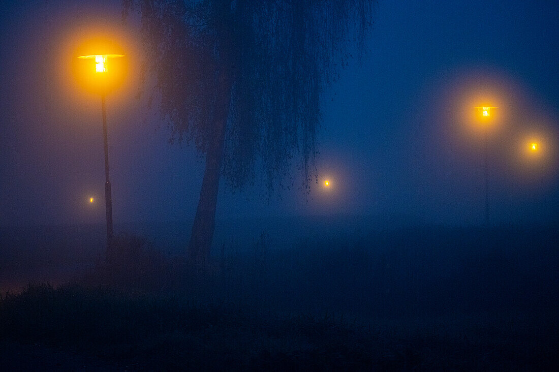 Dichter Herbstnebel am Ende der Nacht, Weg und Straßenlaternen, Seekirchen, Oesterreich