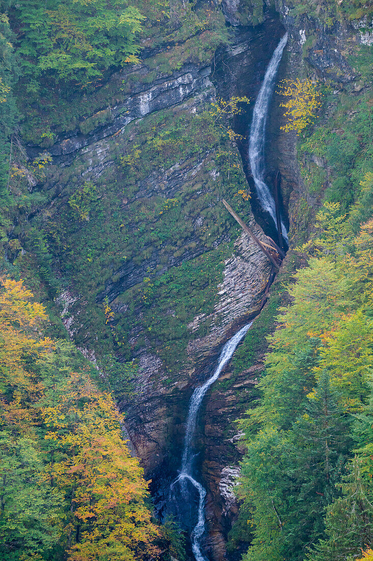 Wasserfall bei der Postalm im Herbst, Oberösterreich, Österreich