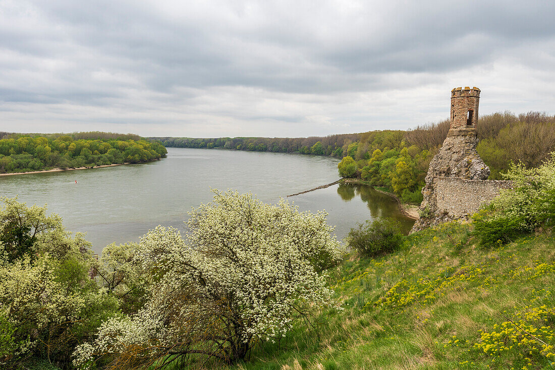 Burg Devin am Zusammenfluss von March und Donau bei Bratislava, Slowakei