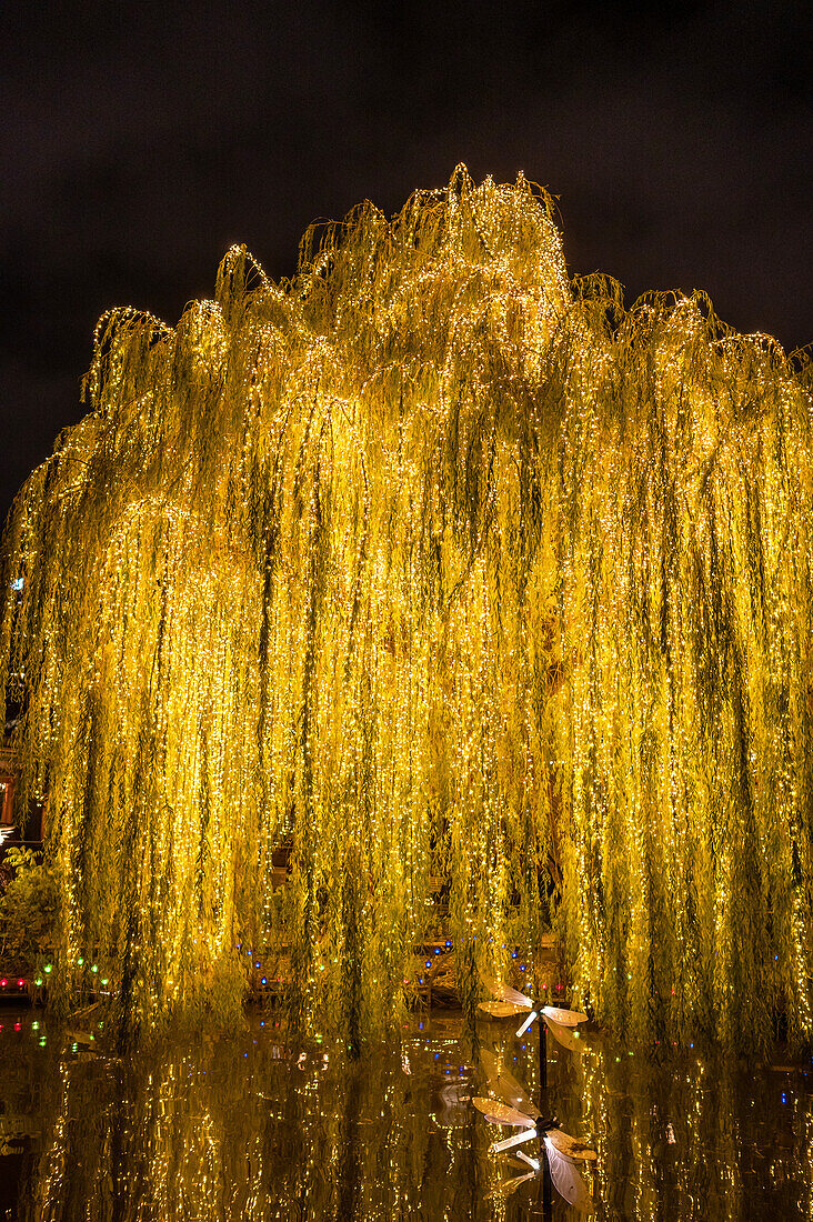 Atmospherically lit tree at Christmas time in Tivoli Gardens in Copenhagen, Denmark