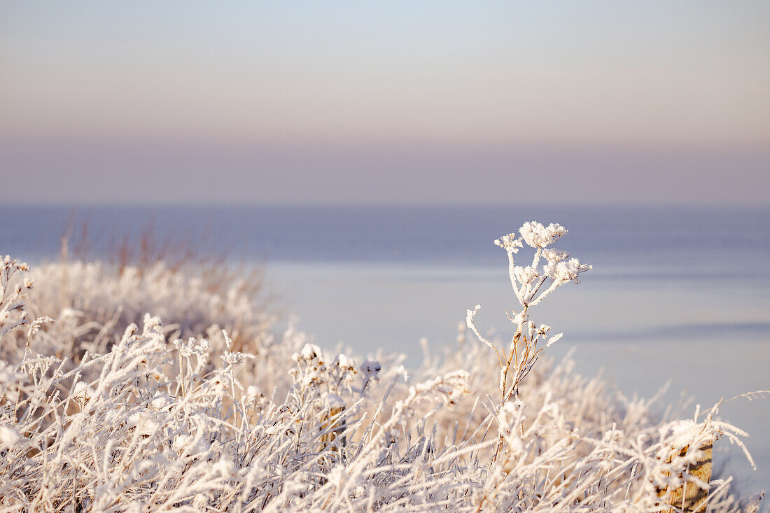 Winterliche Idylle am Eitz in Weissenhäuser Strand, Steilküste, Weissenhaus, Ostsee, Ostholstein, Schleswig-Holstein, Deutschland