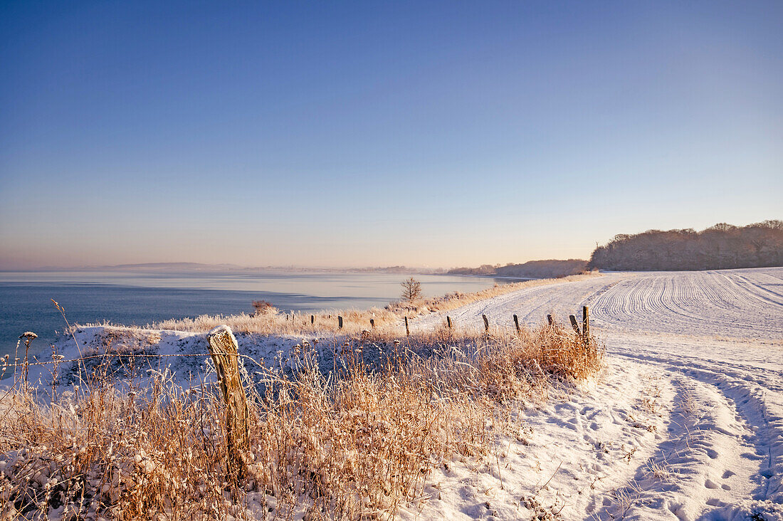 Wintery idyll on the Eitz in Weissenhaeuser beach, steep coast, Weissenhaus, Baltic Sea, Ostholstein, Schleswig-Holstein, Germany