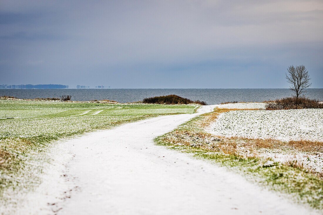 Strandweg with snow powder to the sea, Baltic Sea, Siggen, Ostholstein, Schleswig-Holstein, Germany