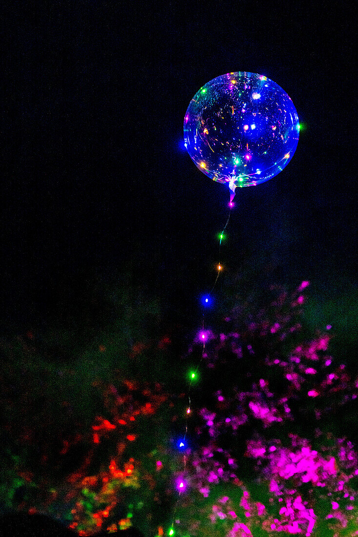 Colorful balloons in front of illuminated trees