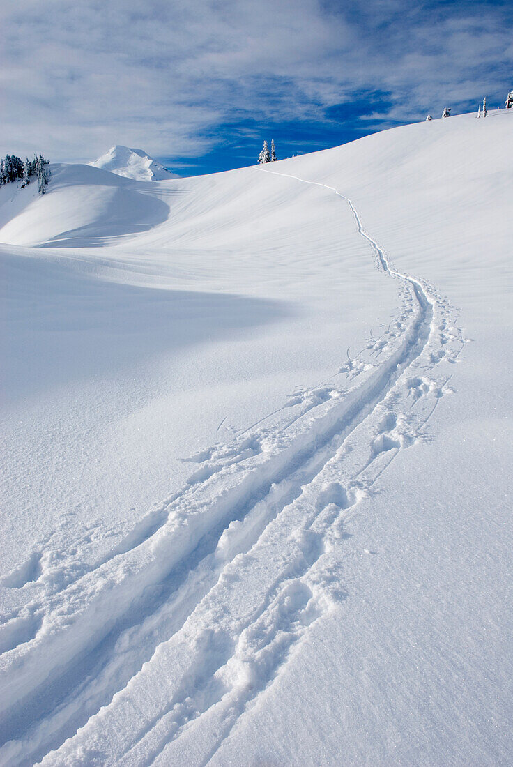 A snow trail made by a cross country skier on the slpoes of Mount Baker in the North Cascades, winter.